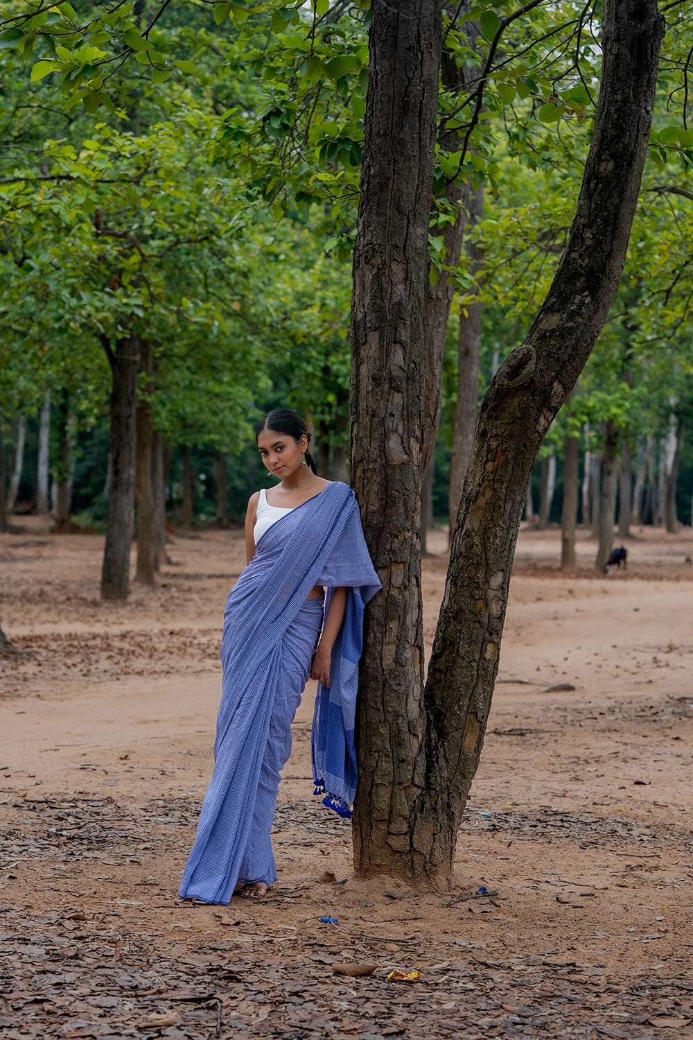 Handloom Blue Check Mul Cotton Saree