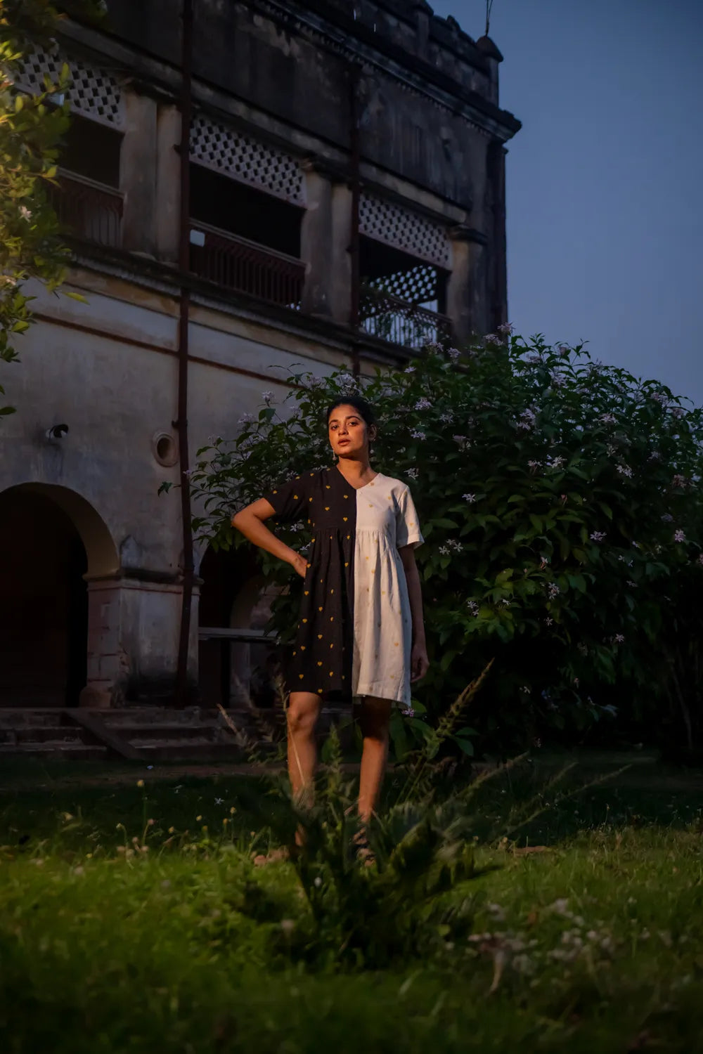 Day & Night South Cotton Dress
